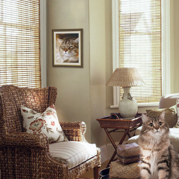 Sly and extremely beautiful. ''MACHO'' M995 Counted Cross Stitch Kit