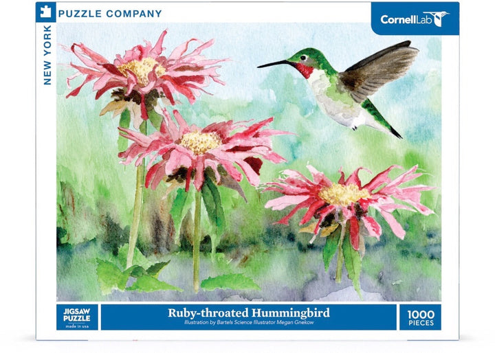 Ruby-throated Hummingbird