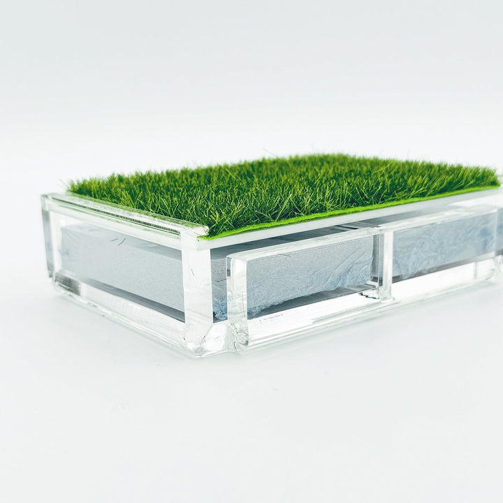Playing Card Set with Putting Green Grass