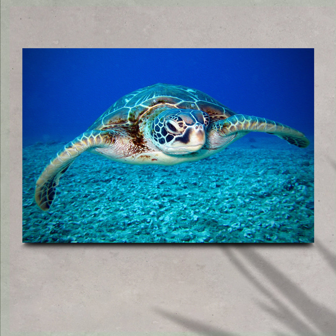 Green Sea Turtle Canvas Wall Art