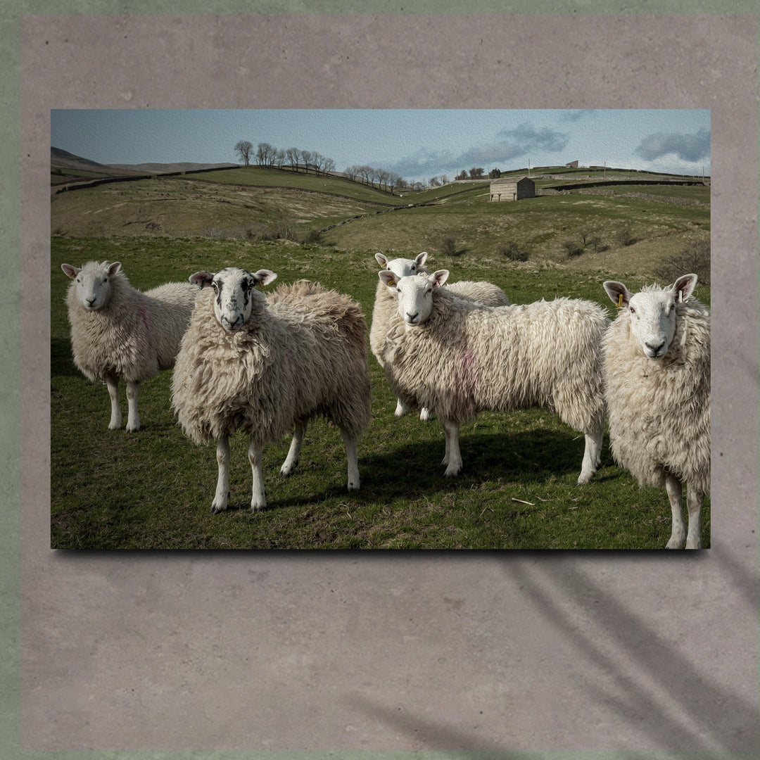 Flock Of Sheep Canvas Wall Art