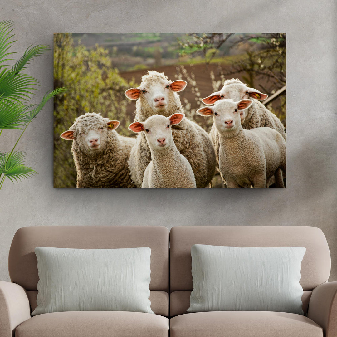 Curious Sheep Canvas Wall Art