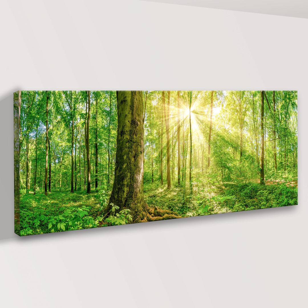 Golden Rays Into The Forest Canvas Wall Art