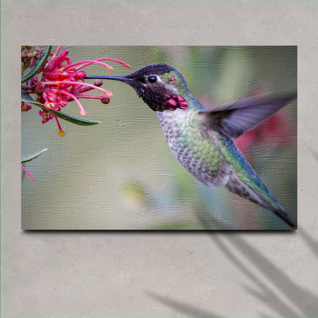 Hummingbird Spring Canvas Wall Art