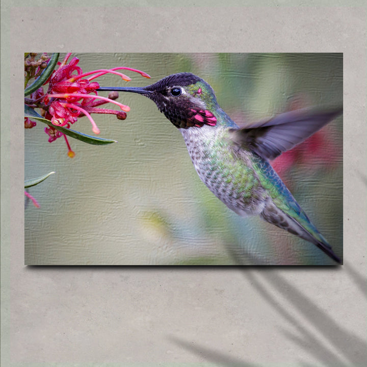 Hummingbird Spring Canvas Wall Art