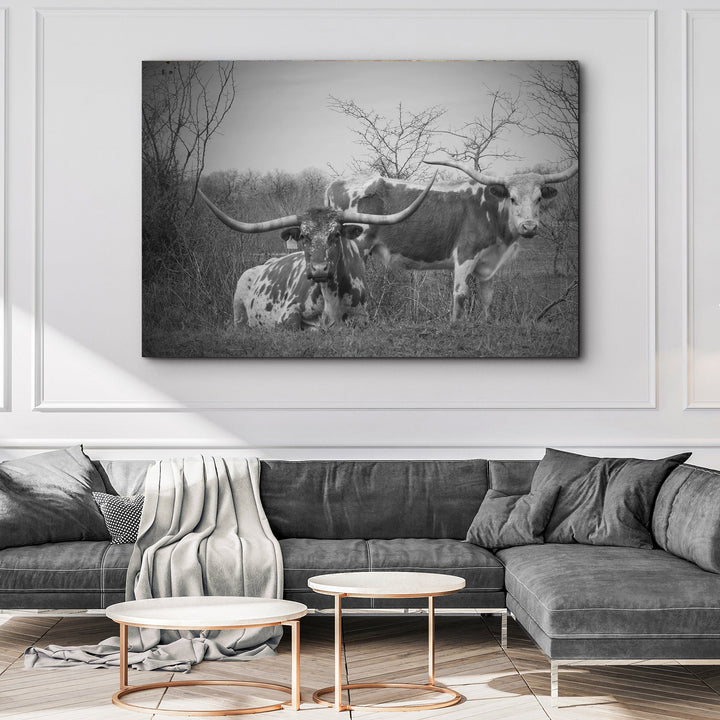 Monochrome Texas Longhorn Cattle Canvas Wall Art