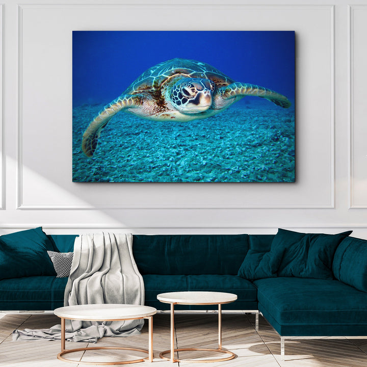 Green Sea Turtle Canvas Wall Art