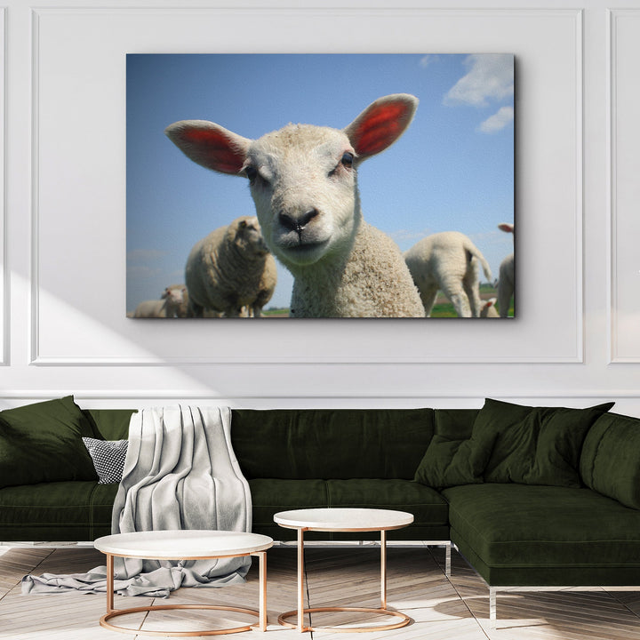 Curious Lamb Canvas Wall Art