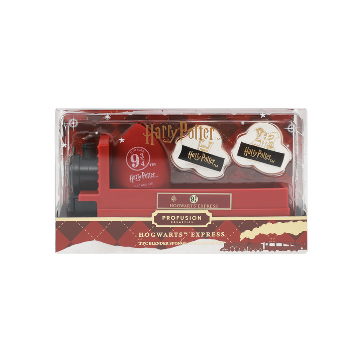 Harry Potter Holiday | Hogwarts™ Express Sponge Set