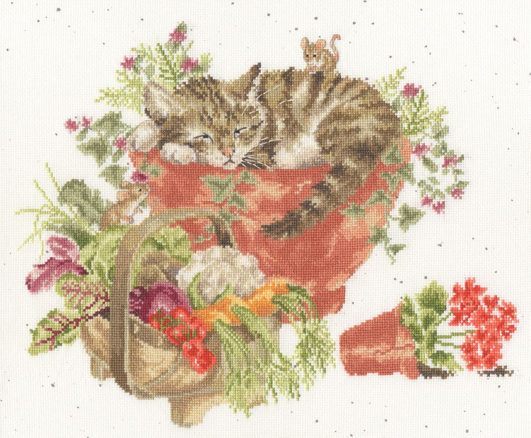 Purrrfect Spot XHD149 Counted Cross Stitch Kit