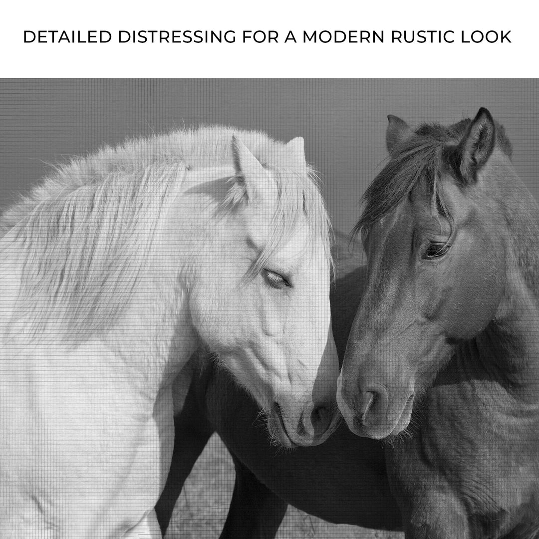 Horse Love Canvas Wall Art