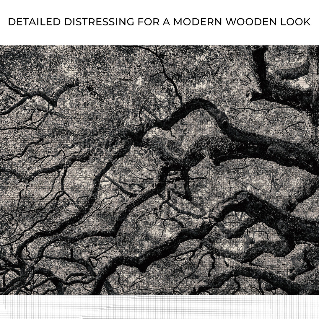 Monochrome Angel Oak Tree Canvas Wall Art