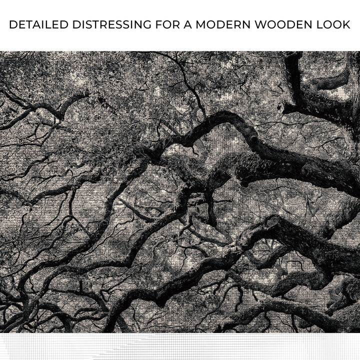 Monochrome Angel Oak Tree Canvas Wall Art