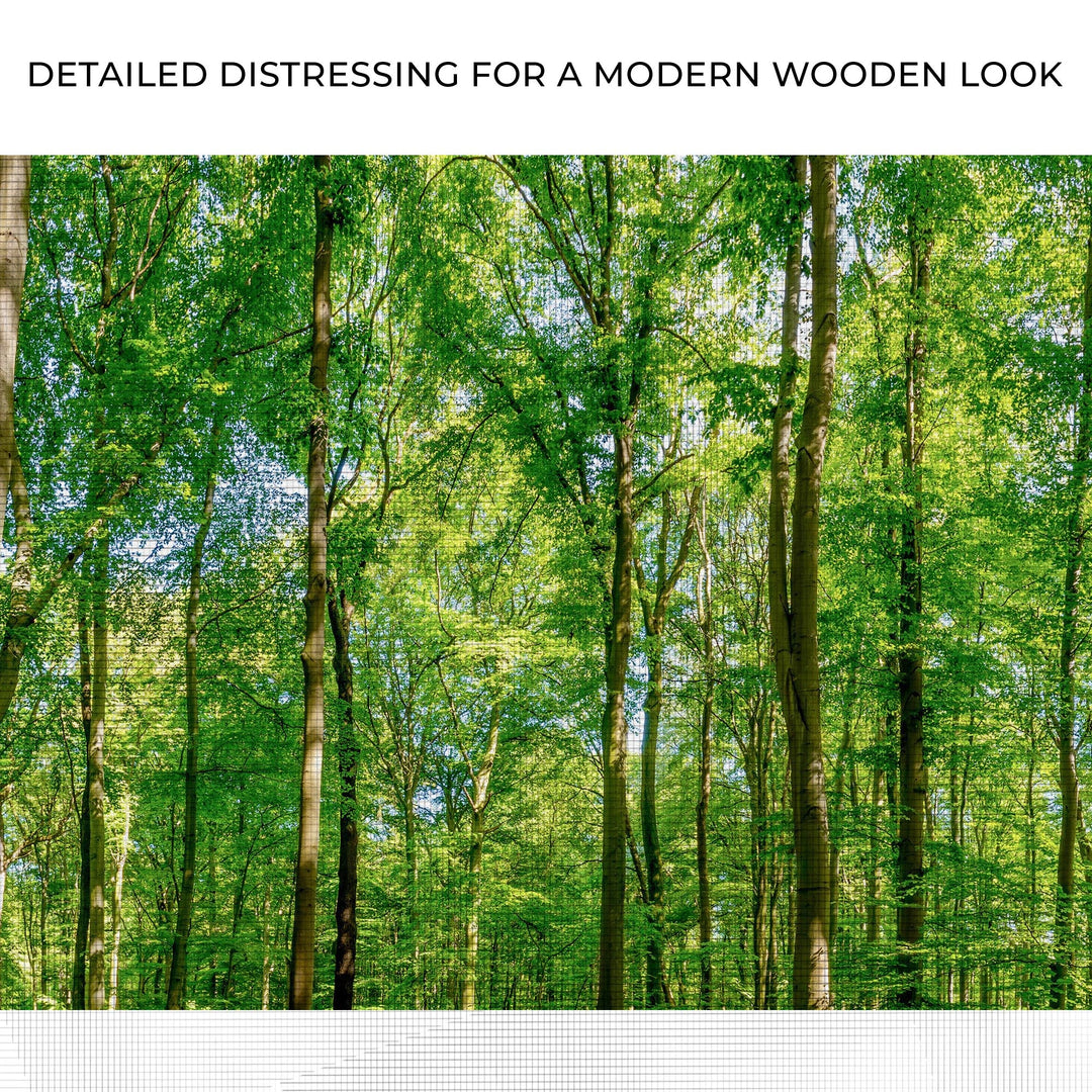 Golden Rays Into The Forest Canvas Wall Art