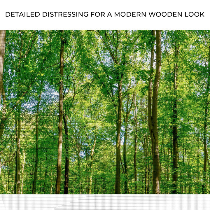 Golden Rays Into The Forest Canvas Wall Art