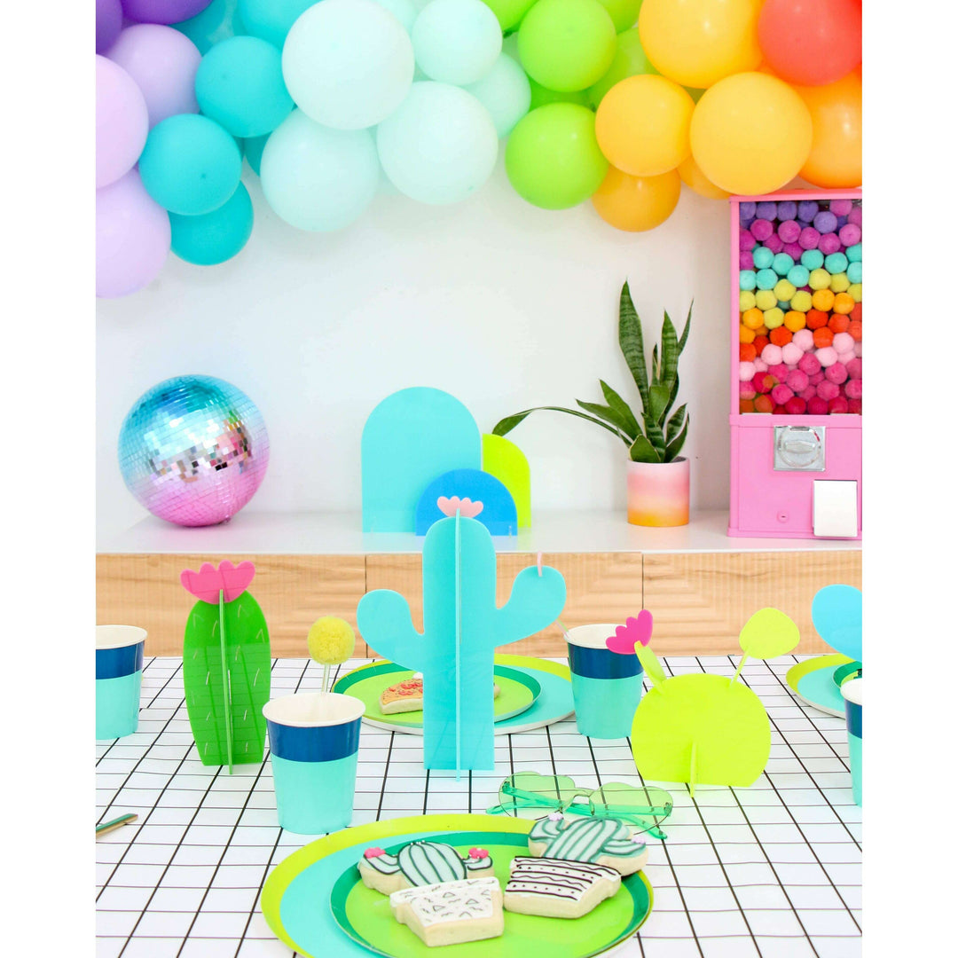 Acrylic cactus set