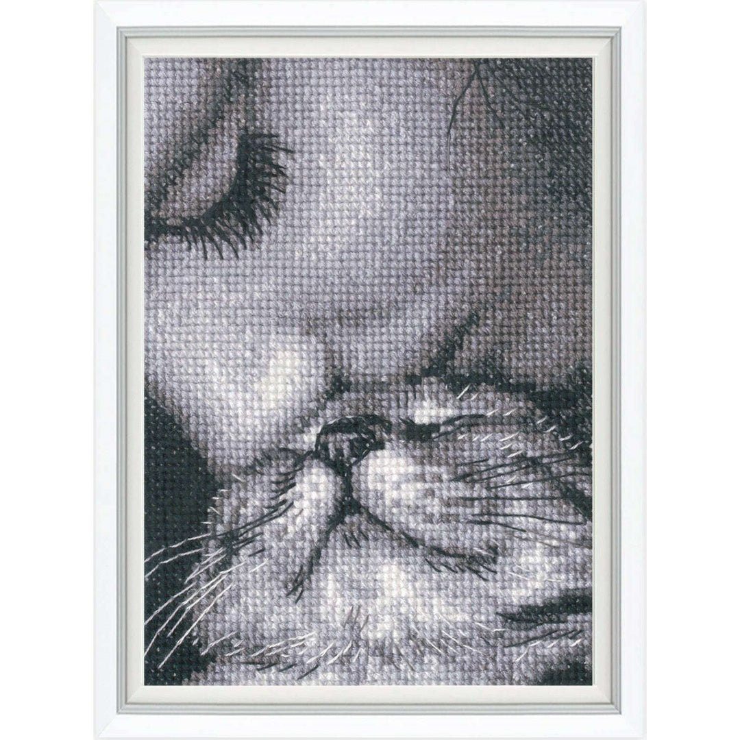 Admirers C425 Counted Cross Stitch Kit