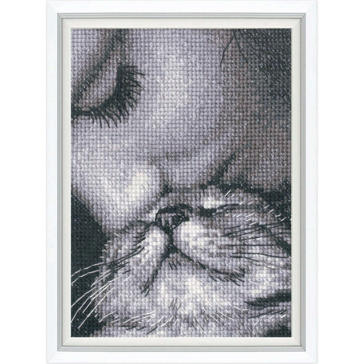 Admirers C425 Counted Cross Stitch Kit