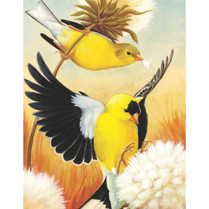 American Goldfinch Mini