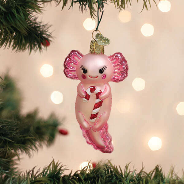 Old World Christmas Axolotl with Candy Cane Blown Glass Ornament