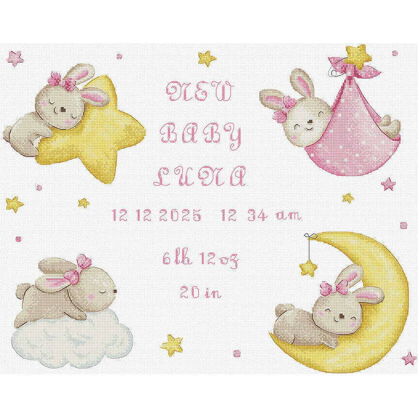 Baby Girl record L9943 Counted Cross Stitch Kit