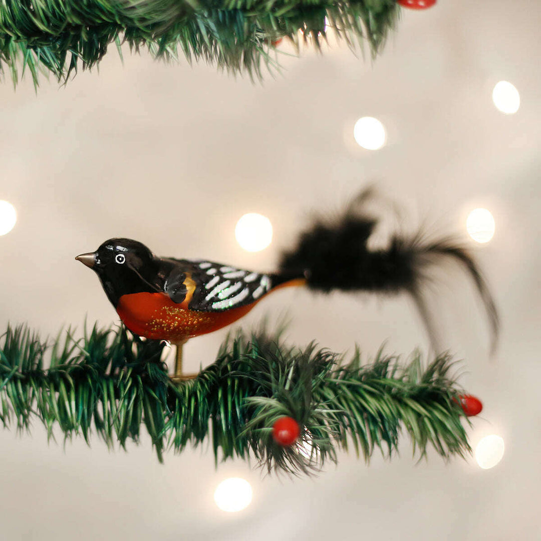 Old World Christmas Baltimore Oriole Blown Glass Ornament