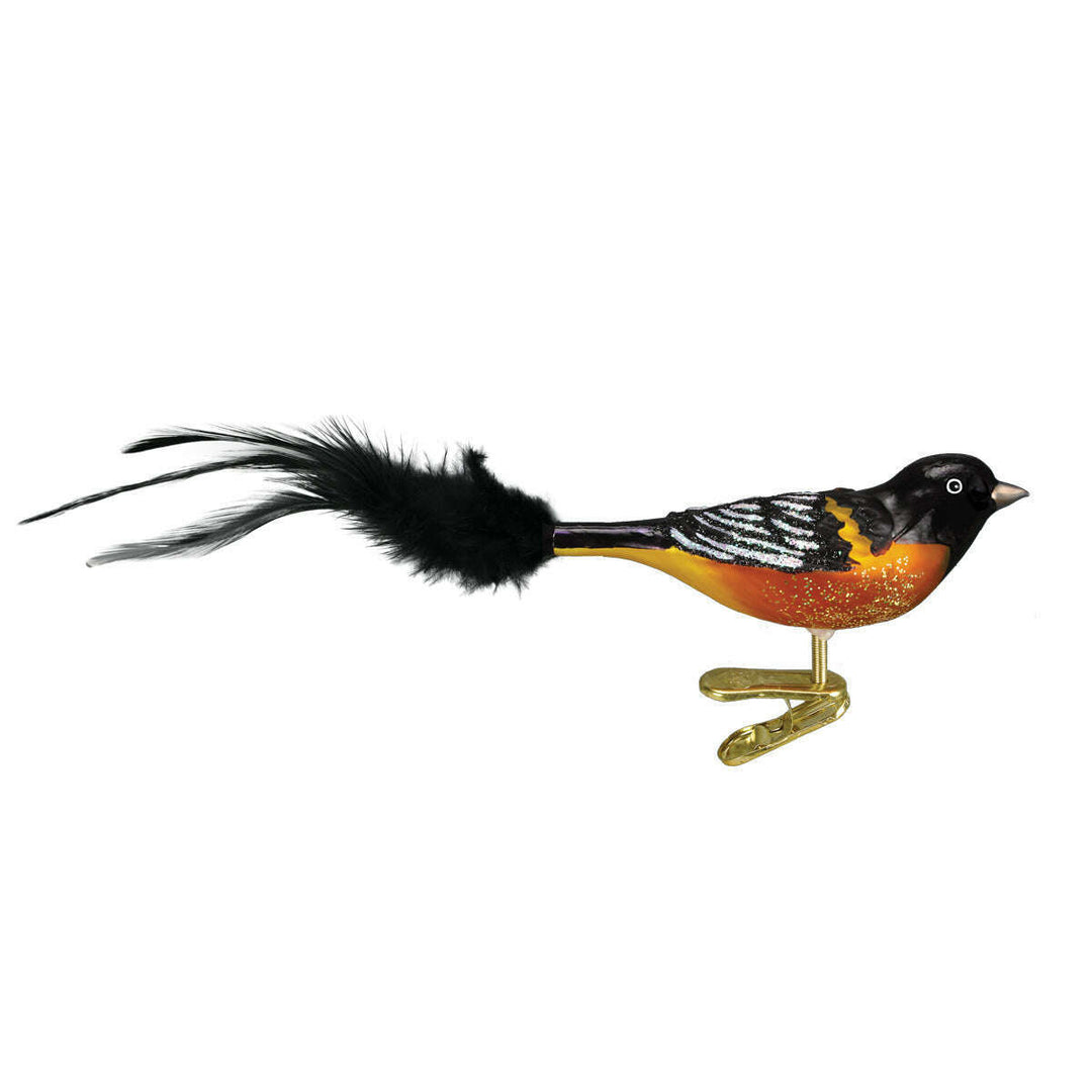 Old World Christmas Baltimore Oriole Blown Glass Ornament