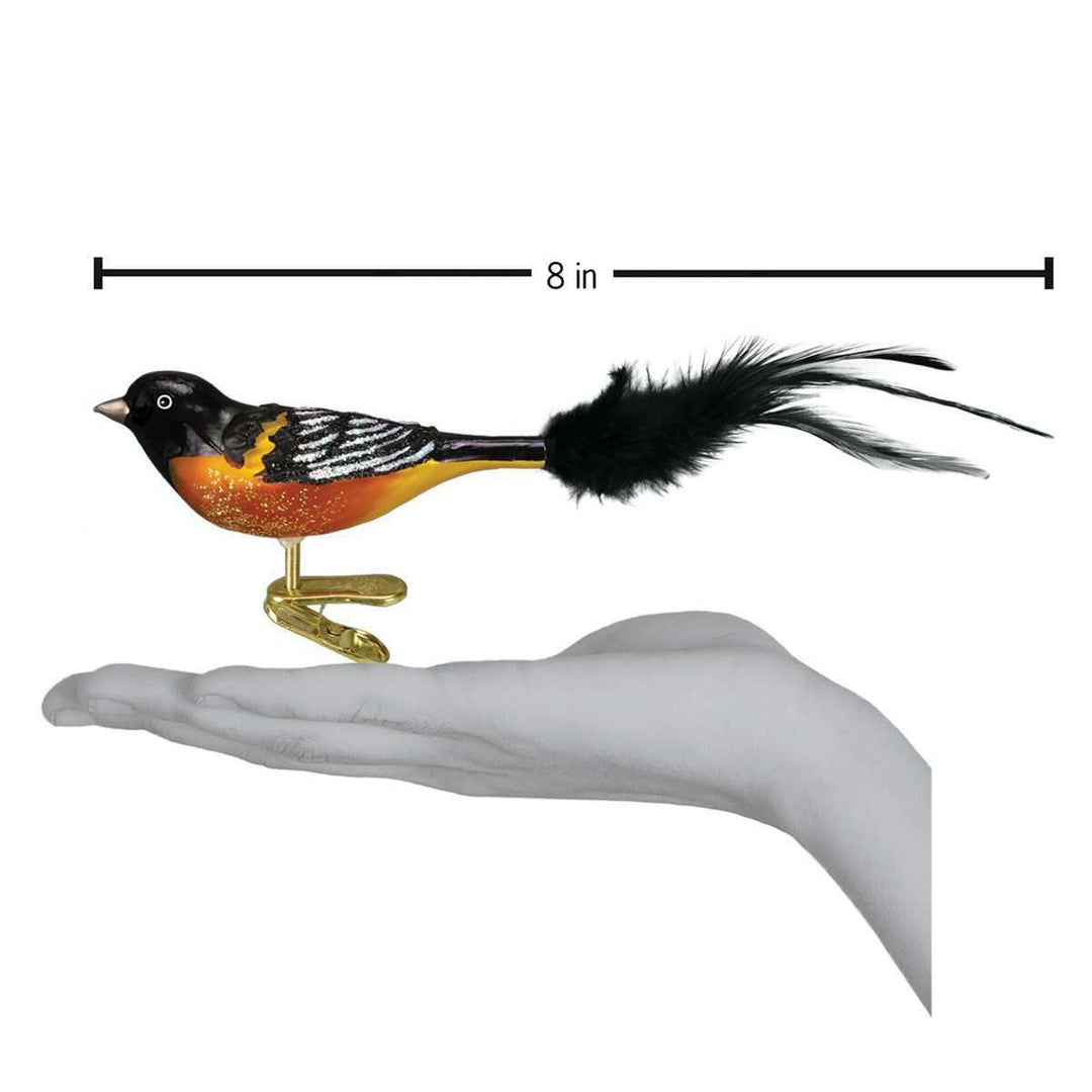 Old World Christmas Baltimore Oriole Blown Glass Ornament