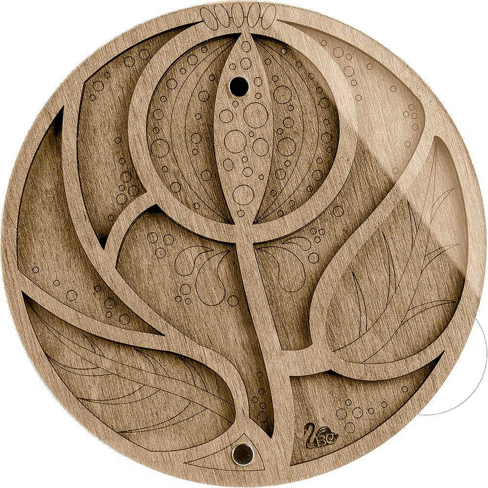 Bead organizer with transparent cover FLZB-028