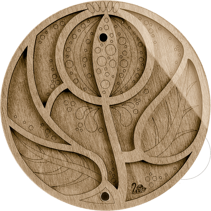 Bead organizer with transparent cover FLZB-028