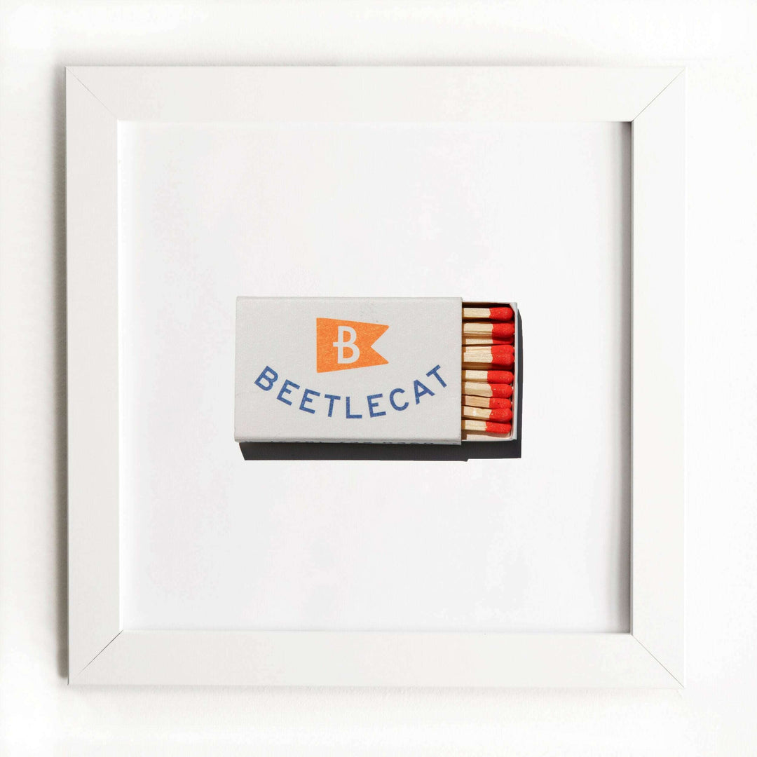 Beetlecat