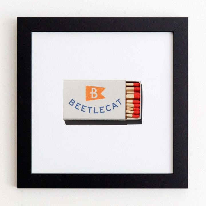 Beetlecat