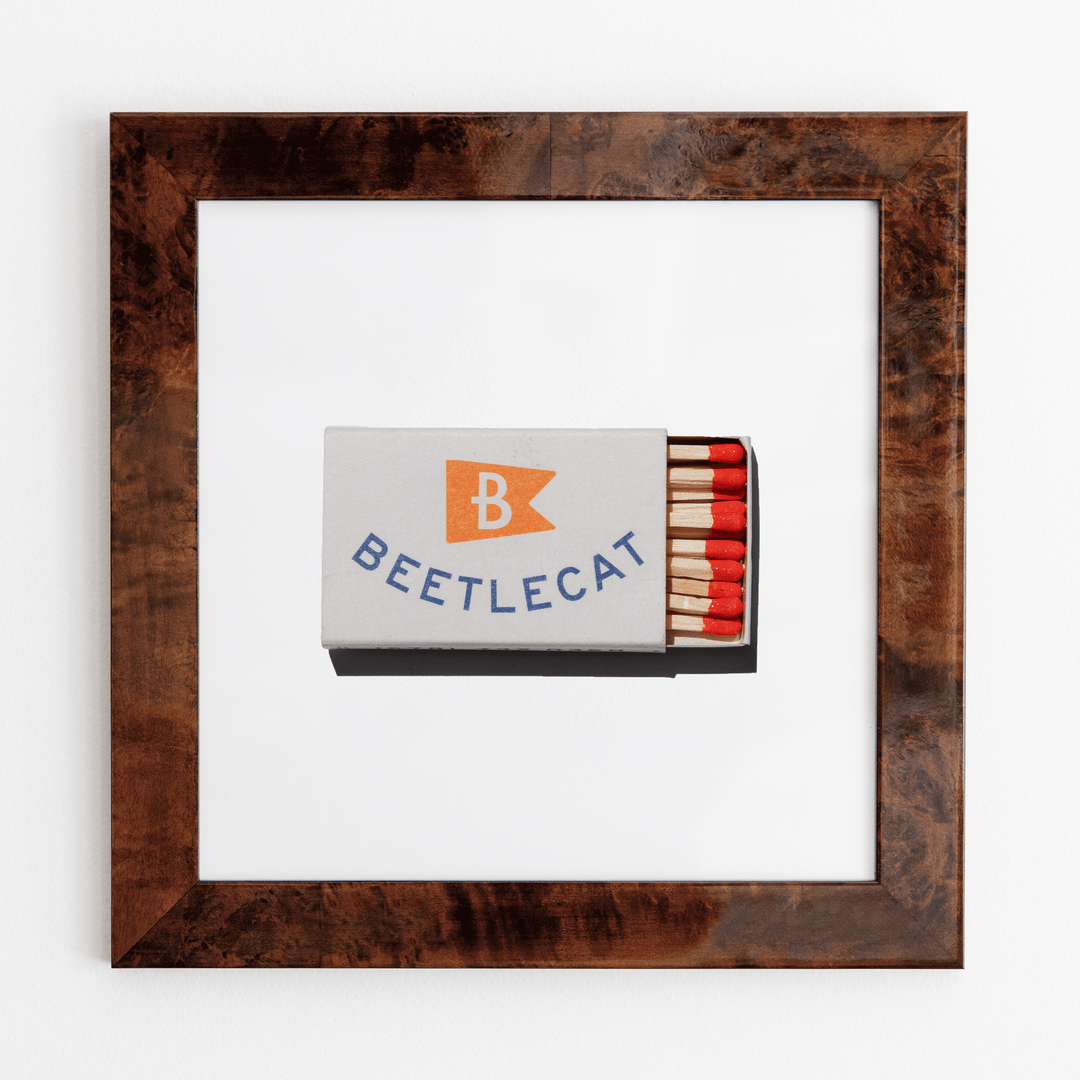 Beetlecat