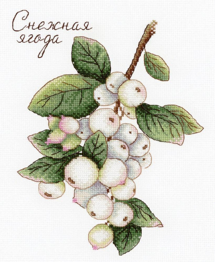 Berries SNV-662 Counted Cross Stitch Kit