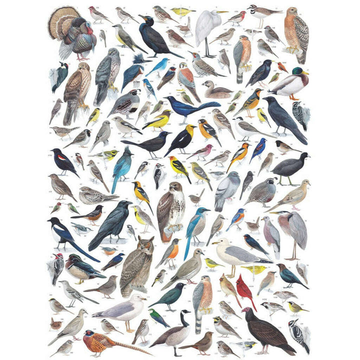 Birds of Western North America Jigsaw Puzzle