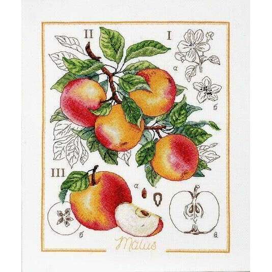 Botanical Battle - Apple Counted cross stitch kit 1261A