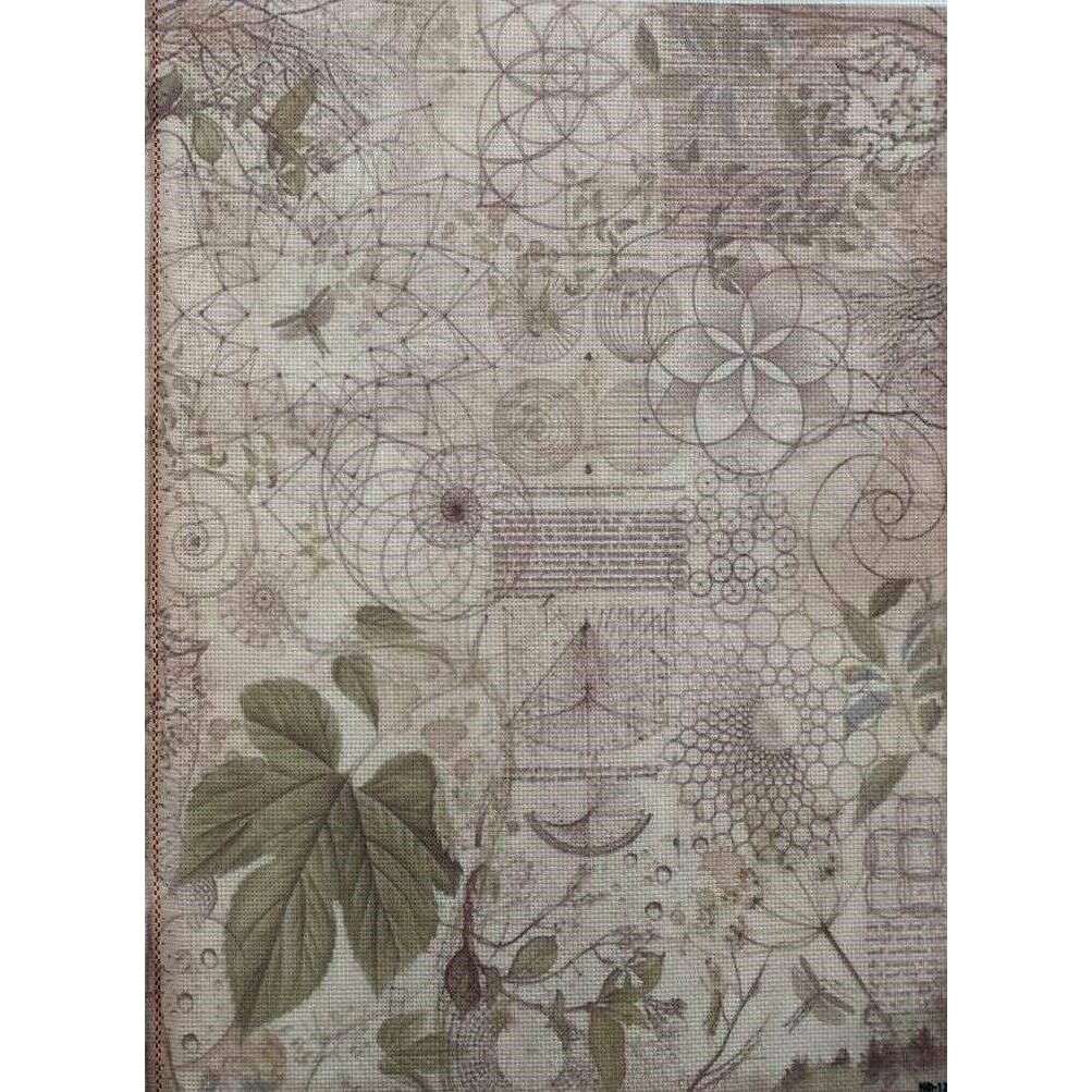 Botanical Relic Designer Printed AIDA Fabric. Canvas for embroidery with an applied background  KF-1263A