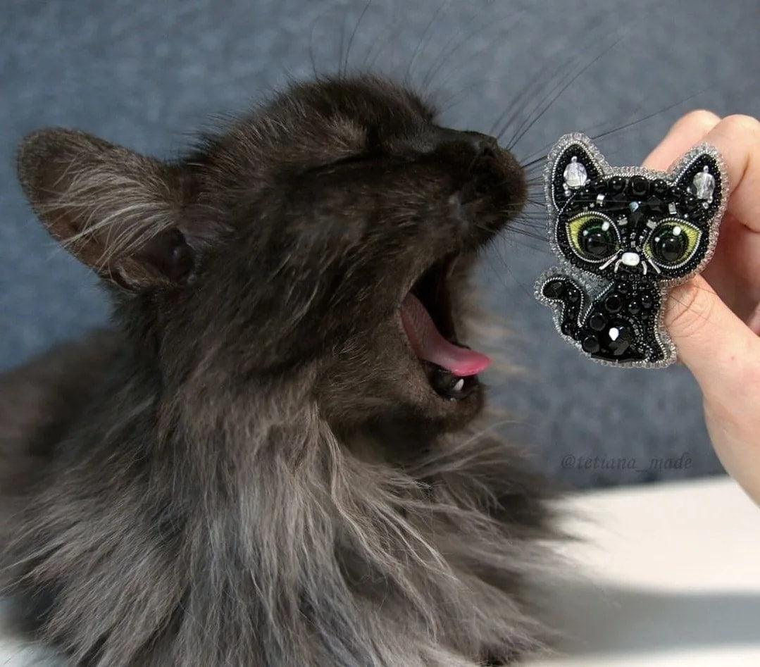 BP-330C Beadwork kit for creating brooch Crystal Art "Black cat"