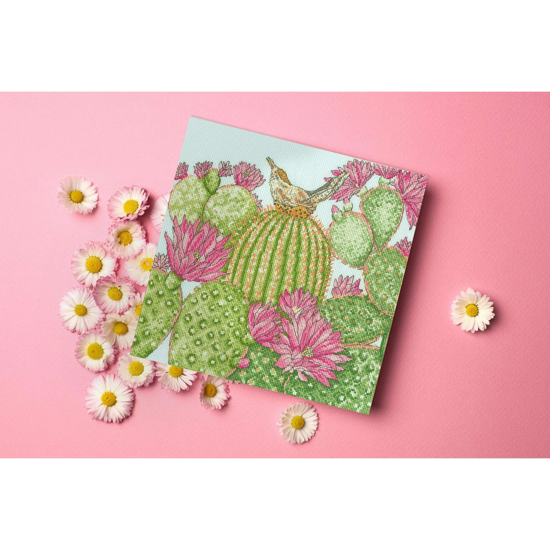 Cactus Garden XFY10 Counted Cross Stitch Kit
