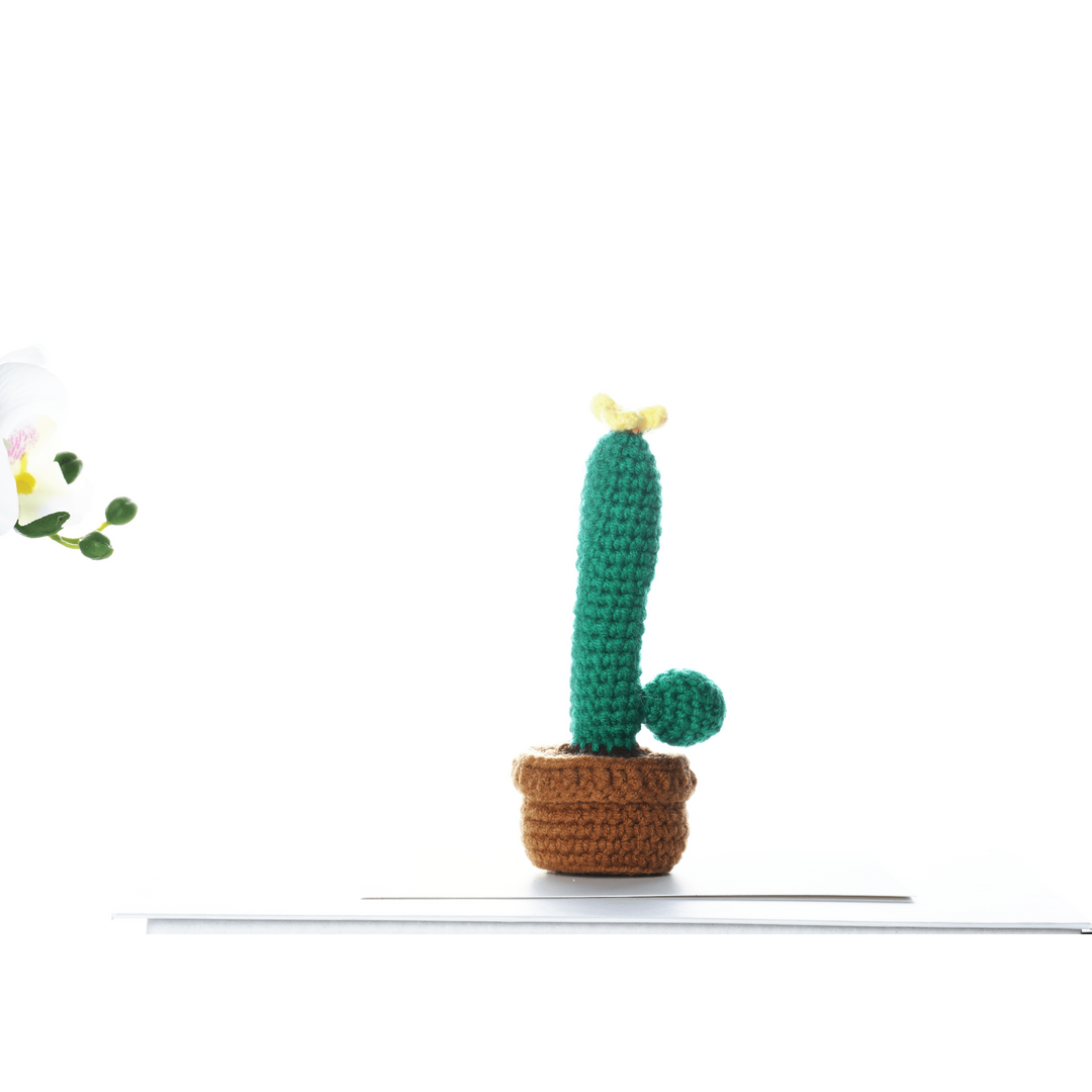 Cactus with Flowers. Potted Plant Amigurumi DIY Crochet Kit Wizardi F07N8-M18