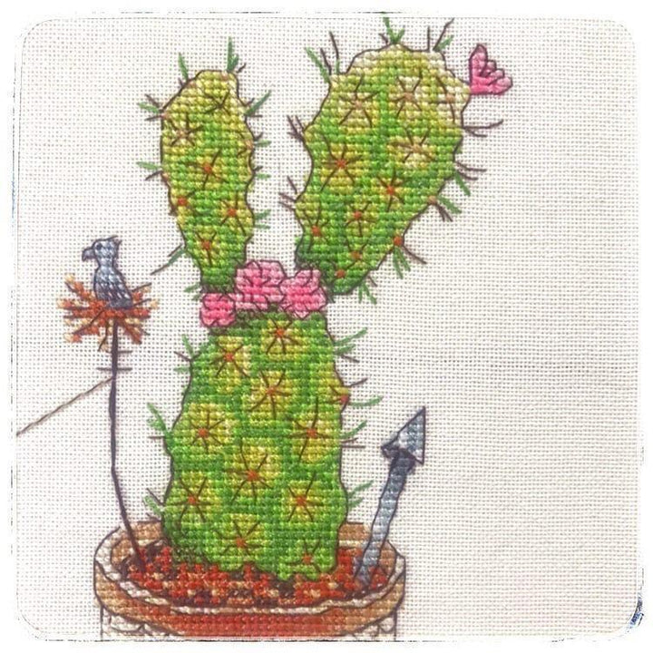 Cactuses CT-11 Counted Cross-Stitch Kit