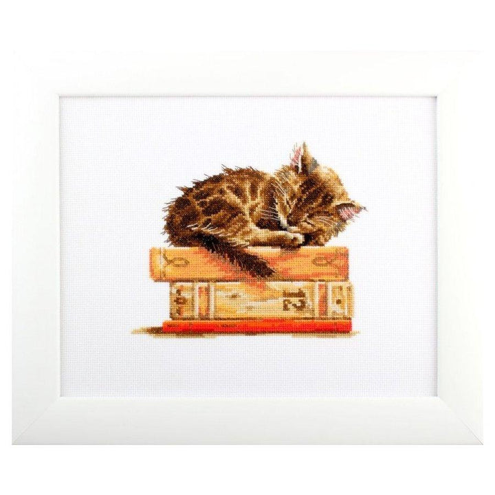 Cat's dream M642 Counted Cross Stitch Kit