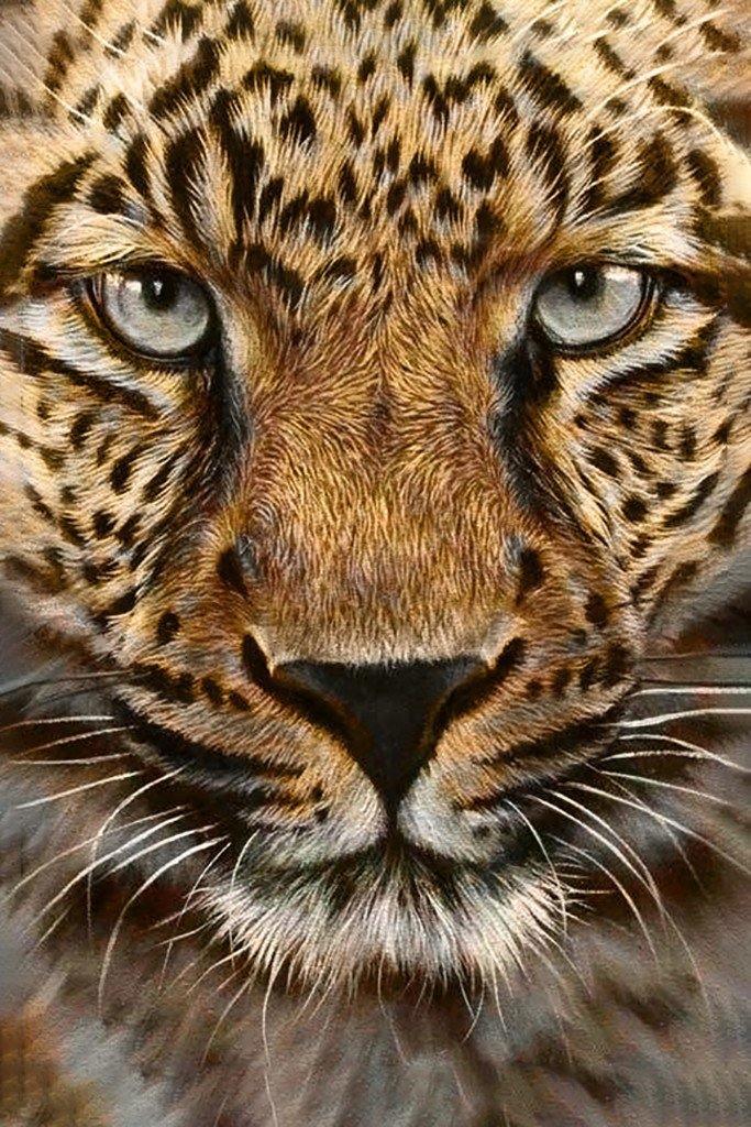 Cheetah CS069 7.9 x 11.8 inches Crafting Spark Diamond Painting Kit