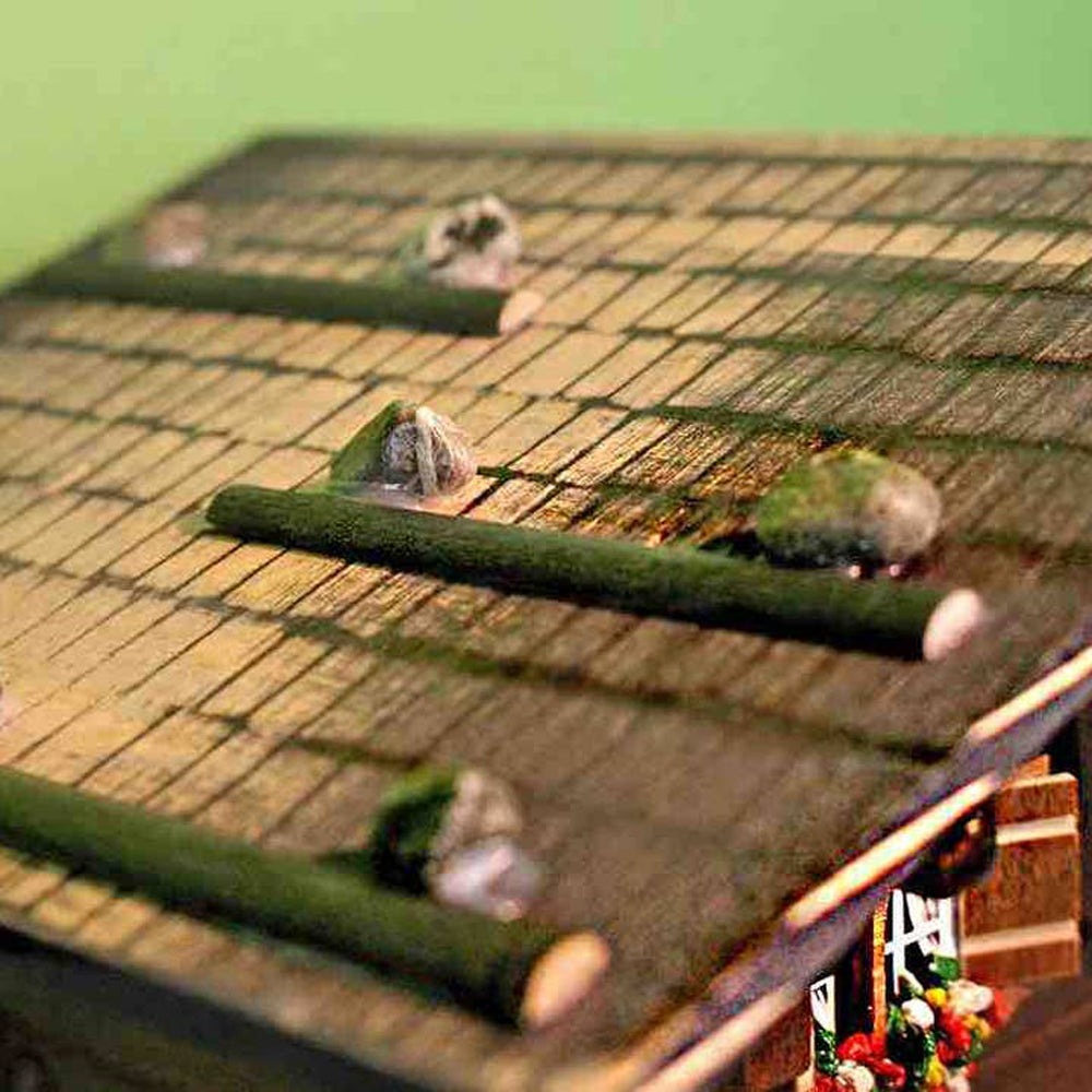 Classic Brienz Chalet in Amber by Kit Cat Klock  1