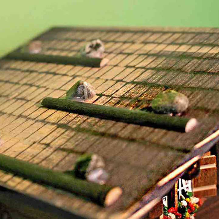 Classic Brienz Chalet in Amber by Kit Cat Klock  1