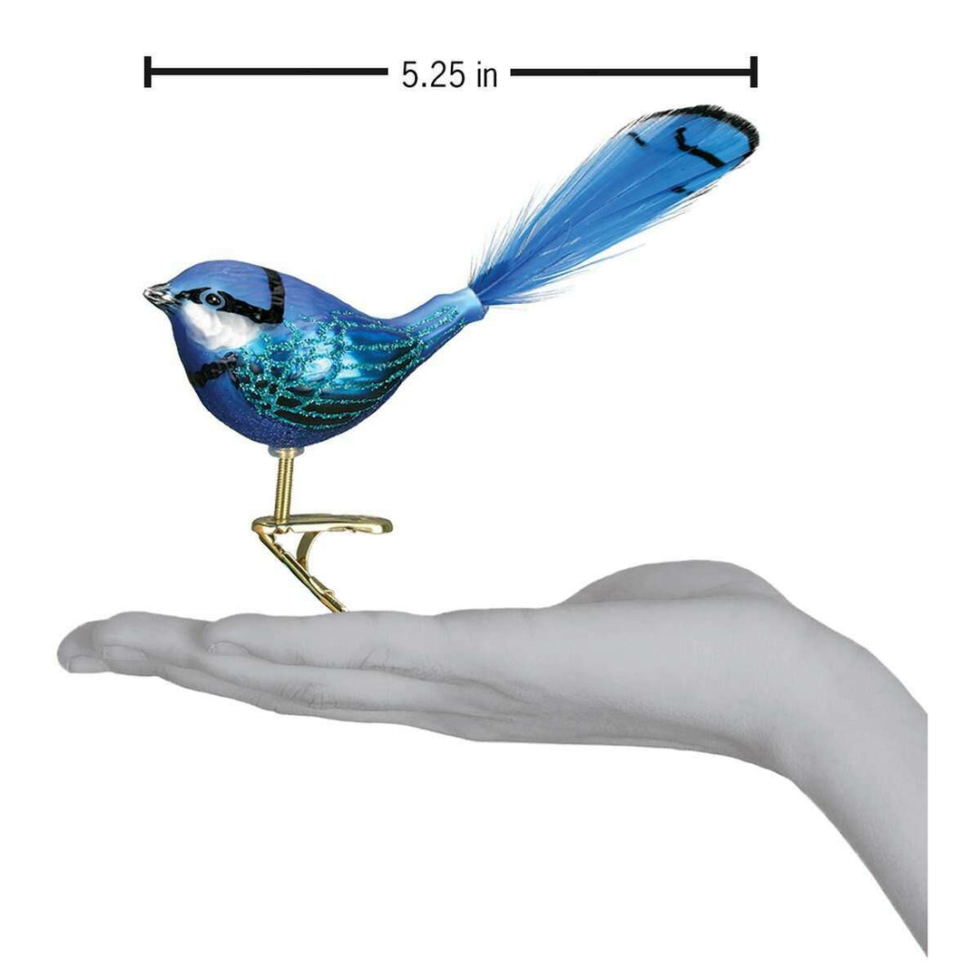 Old World Christmas Clip-On Fairy Wren Blown Glass Ornament