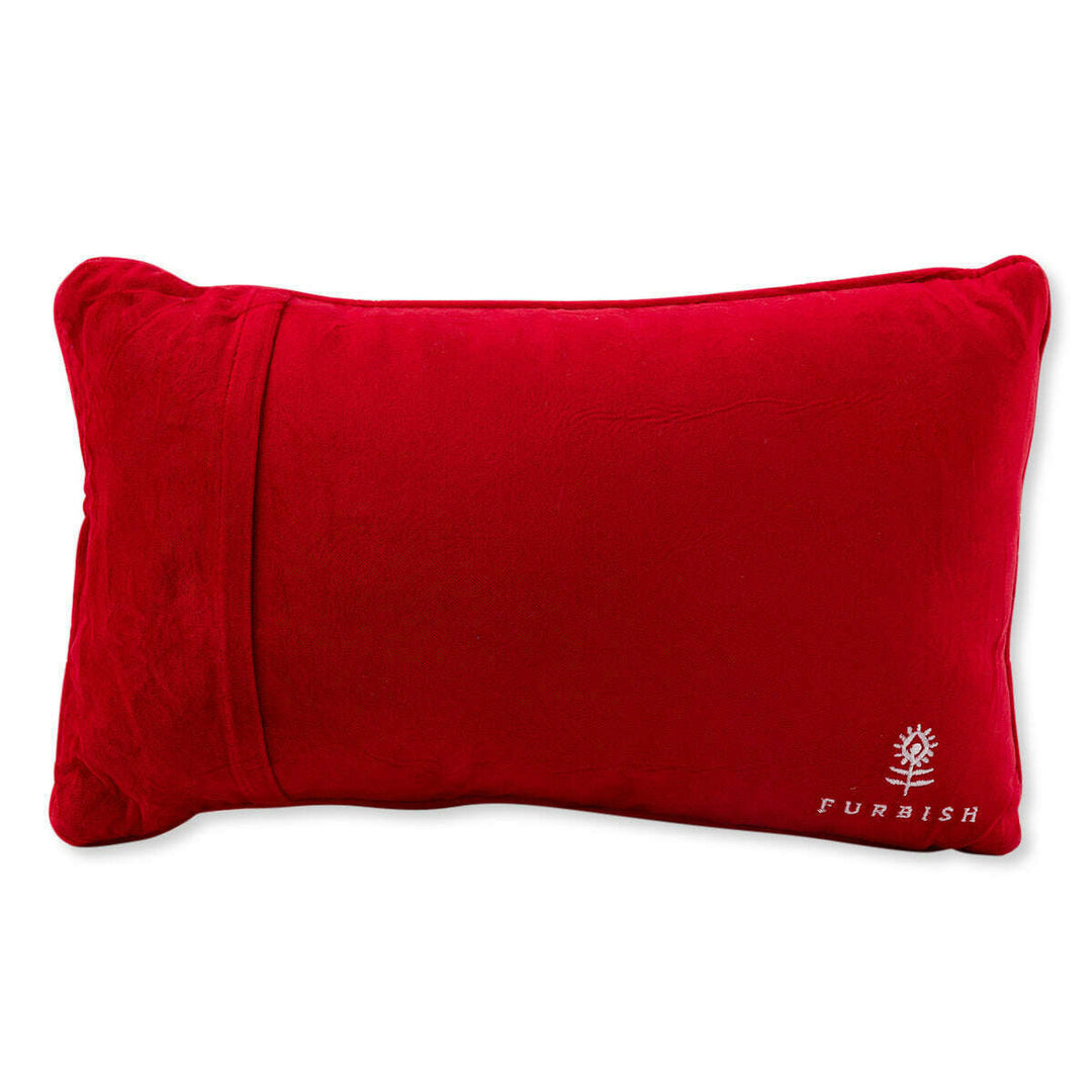 Control Freak Needlepoint Pillow