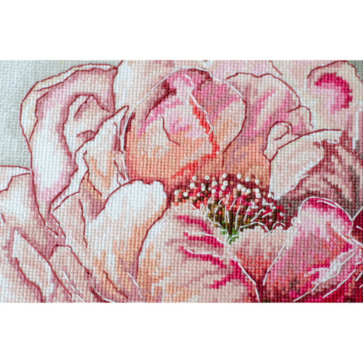 Counted Cross-stitch kit -  Graceful beauty AH-256