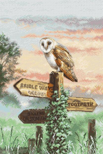 Counted Cross Stitch Kit Barn Owl L8031