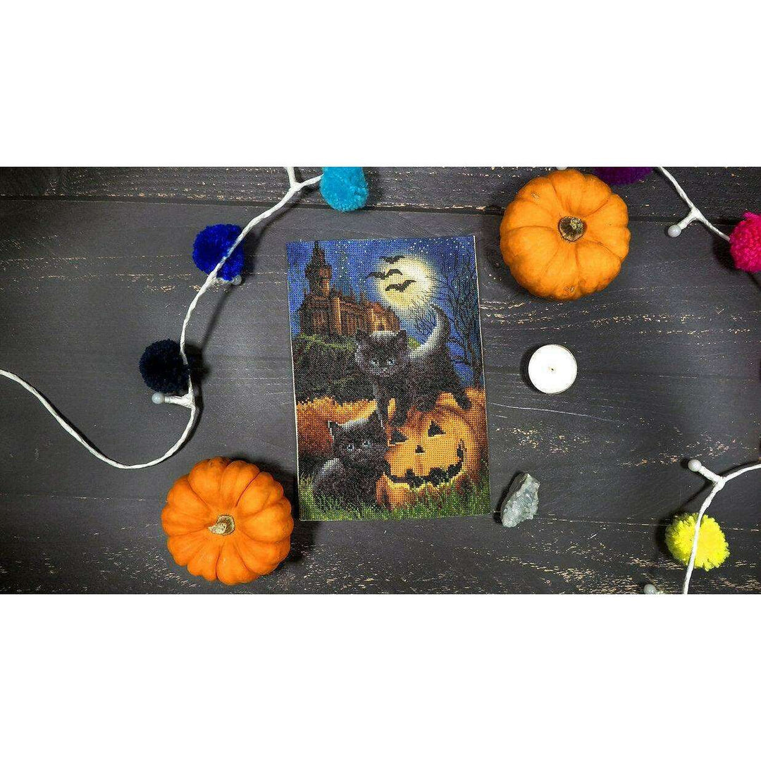 Counted Cross Stitch Kit Did we scare you? Leti964